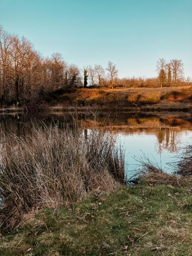 Busserolles La Ferme Du Pont De Maumy, Cabane Au Bord De L'Etang Et Bain Nordique מראה חיצוני תמונה